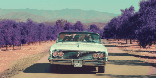 little_MVShout&Out&to&My&Exlittle&mix扔汽车动图