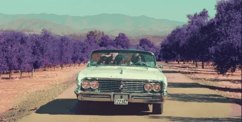 little_MVShout&Out&to&My&Exlittle&mix扔汽车动图