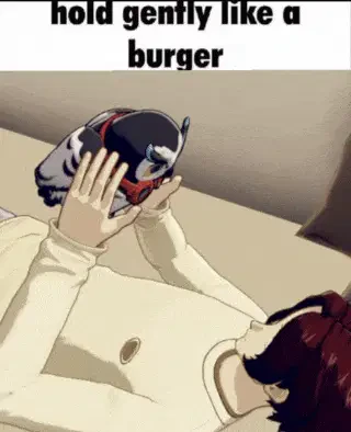Hold Gently Burger Meme