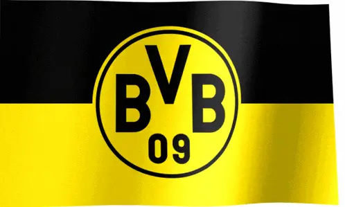 Borussia Dortmund BVB 09 Flag Waving