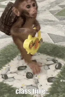 Cute Monkey's Class Time Adventure – school memes meme GIF free download no watermark 2026