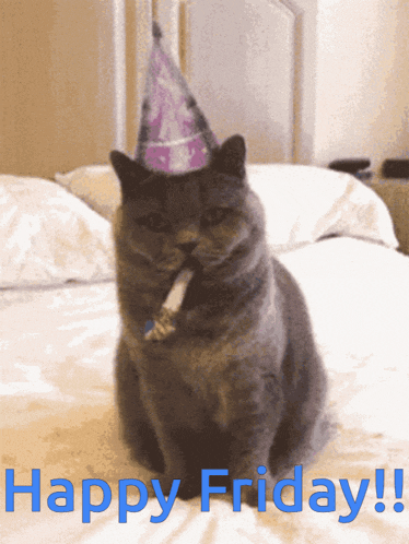 Happy Friday Cat with Party Hat