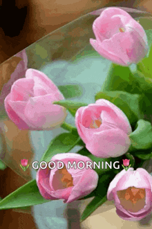 GIF uploaded by ms Mia