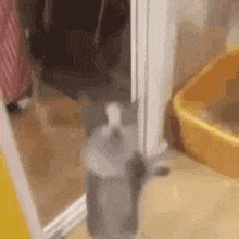 vardhan上传的GIF