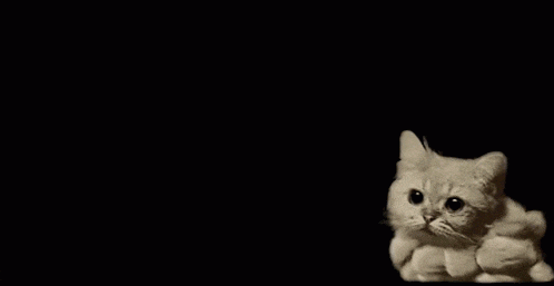 Cat Transforms into a Cloud