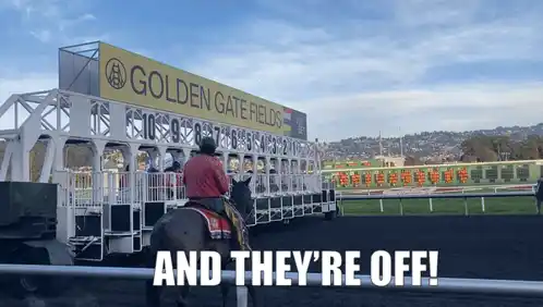 Golden Gate Fields Horse Race: And They're Off!
