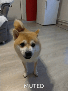 GIF uploaded by Funnygirl