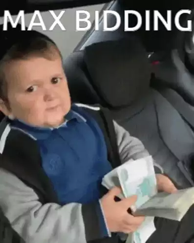 Maxbidding Child with Money