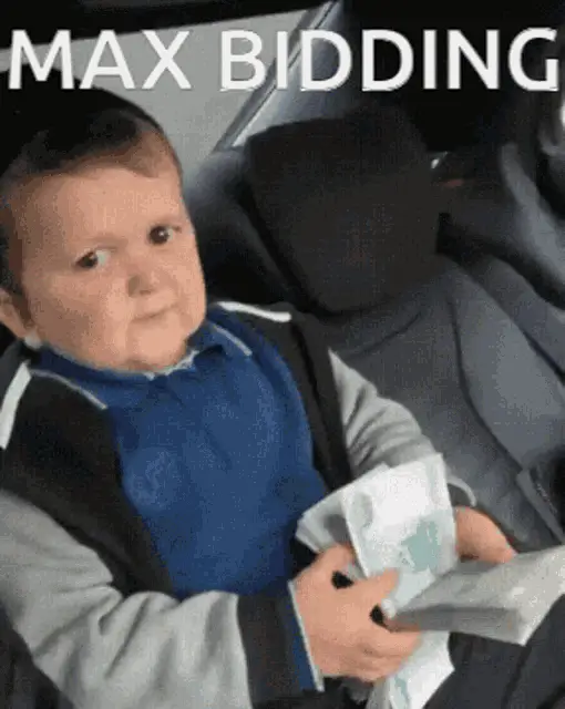 Maxbidding Child with Money