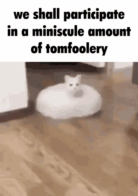 Foekoe Gaming: Cat and Tomfoolery Meme – memes of 2026 meme GIF free download no watermark 2026