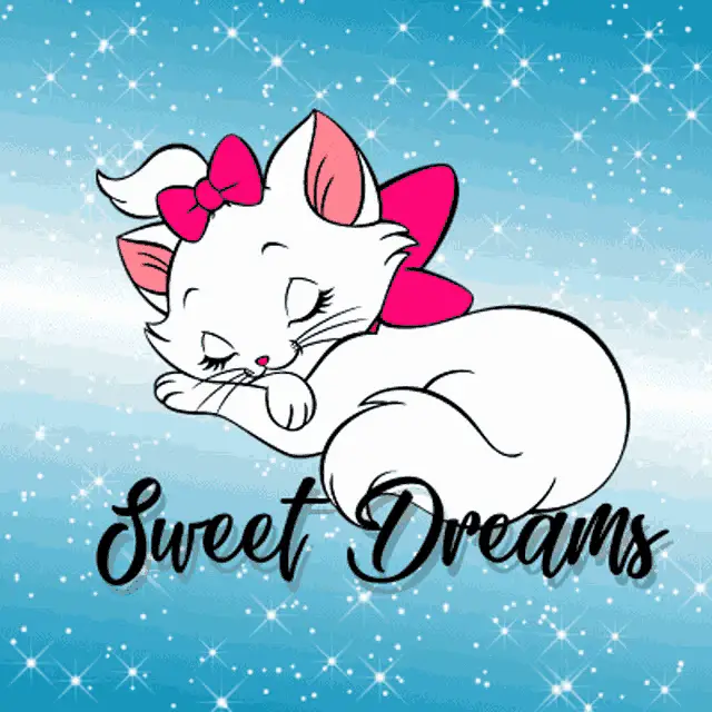 Sweet Dreams Cat – free memes GIF download | meme platform