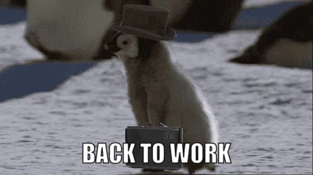 Penguin Back To Work – free memes GIF download | meme platform