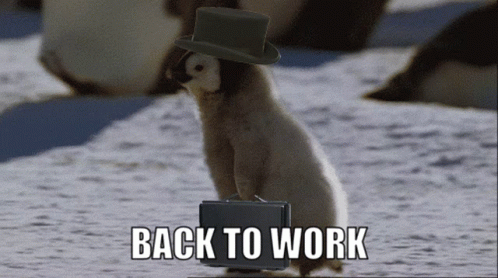 Penguin Back To Work – free GIF download | meme platform | memes GIF