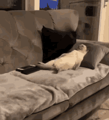 GIF uploaded by 《🌹.::Lenöré::.🌹》
