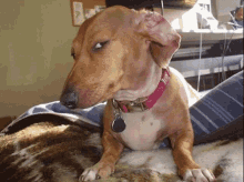 GIF uploaded by Elle