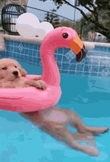GIF i tukuna ake e Funnygirl