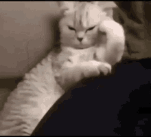 Hetesh అప్లోడ్ చేసిన GIF