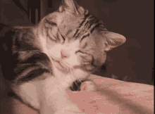 GIF загрузил Алексио