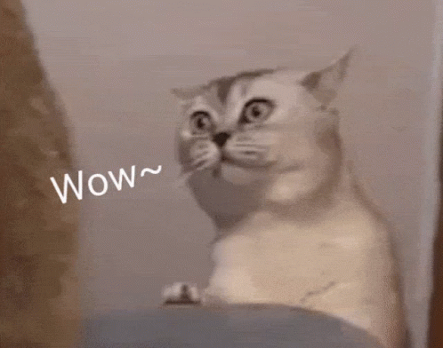 GIF 이미지