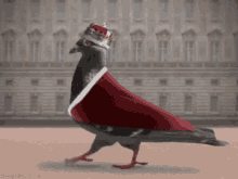GIF
