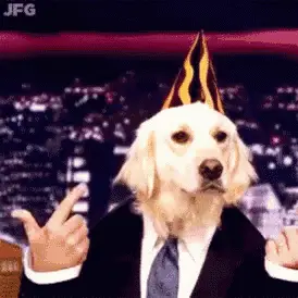 Happy Dog Party Rocker