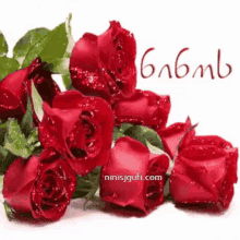 ნინოს ვარდები