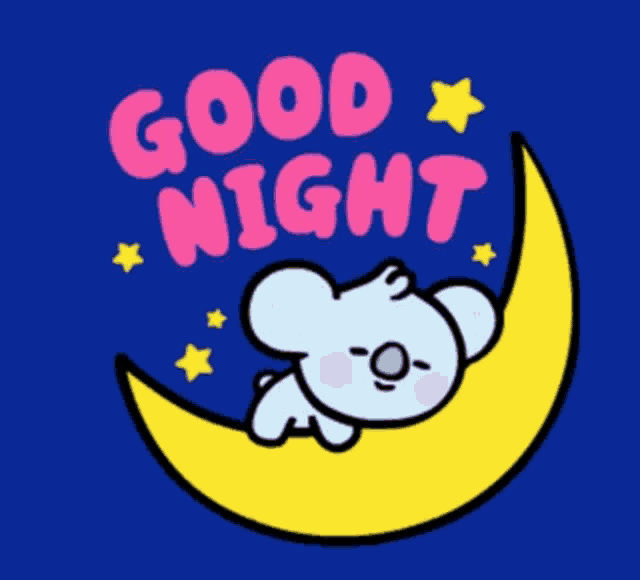 Good Night Sweet Dreams Koala