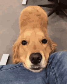 GIF uploaded by Lucky