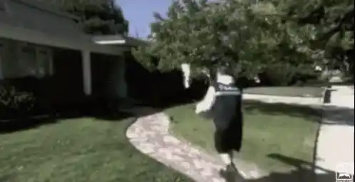 Newspaper Delivery!