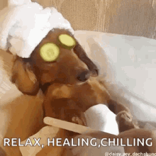 GIF uploaded by Keli