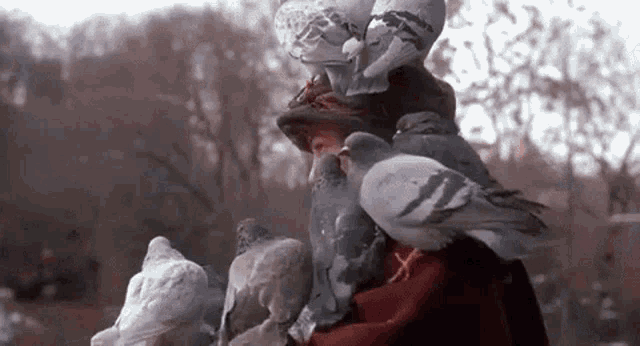 The Pigeon Lady