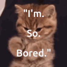 GIF uploaded by Suf