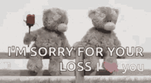 I'm Sorry, I Love You