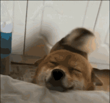 GIF ilipakiwa na May
