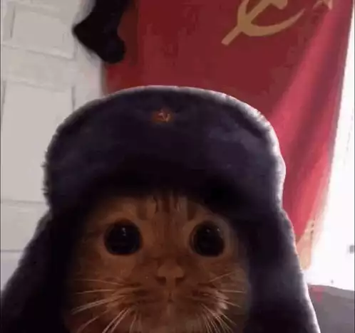 Communist Cat in Ushanka