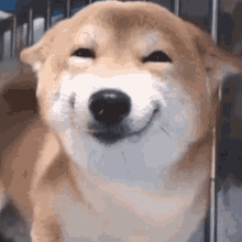GIF caricata da Keerthi