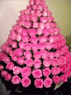 Pink Roses Bouquet Loop