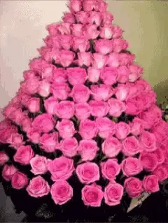 Pink Roses Bouquet Loop
