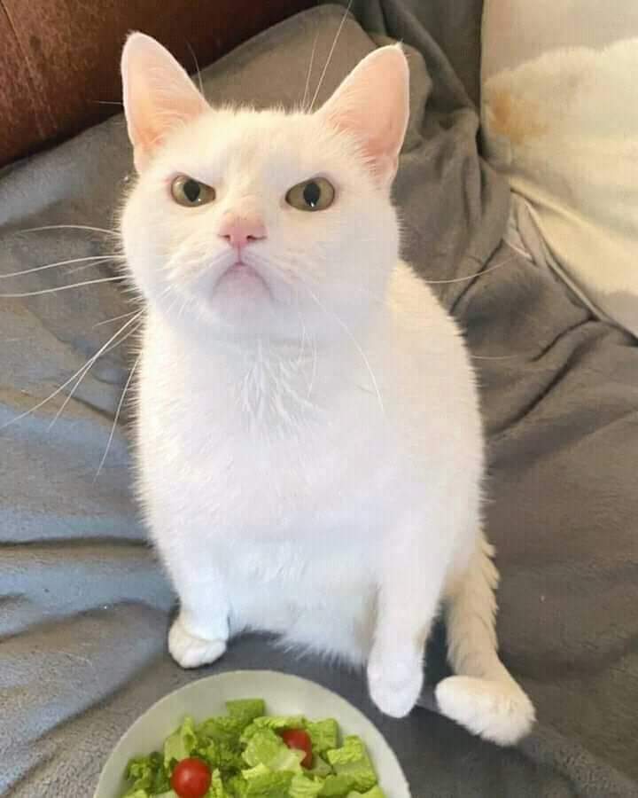 nika nika