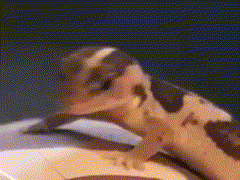 GIF