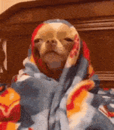 GIF pujat per Fab