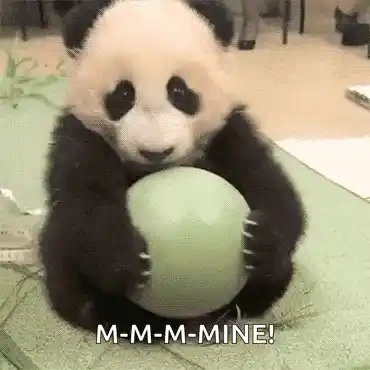Baby Panda's 'M-M-M-MINE!' Ball