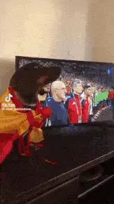 Gillslawyer Dog Watches Spain Soccer