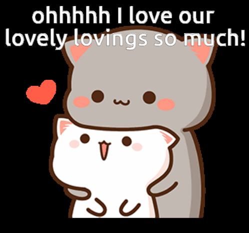 Cute Cats Hugging: Love Lovings – free GIF download | meme platform | memes GIF