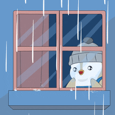 Pudgy Penguin Watches Rain Fall