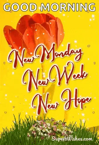 Good Morning: New Monday, New Week, New Hope – new memes meme GIF free download no watermark 2026