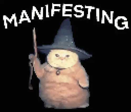 Manifesting Wizard Cat Meme