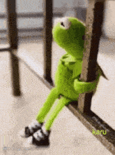 KiMi Jaa上传的GIF