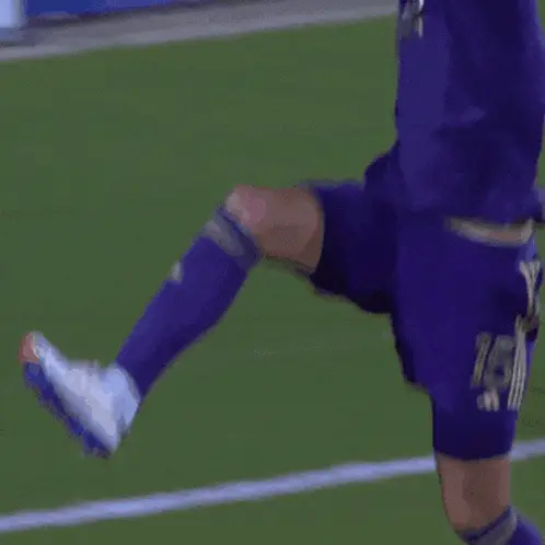 Rodrigo Schlegel's MLS Fist Pump Celebration