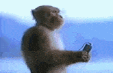 GIF gi-upload ni Alex